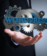 WordPress Haber Temaları